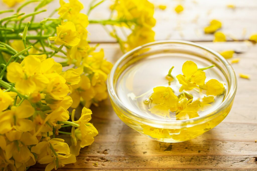 Produkcja oleju rzepakowego w pigułce